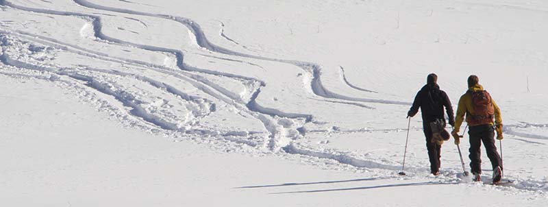 skier in snow