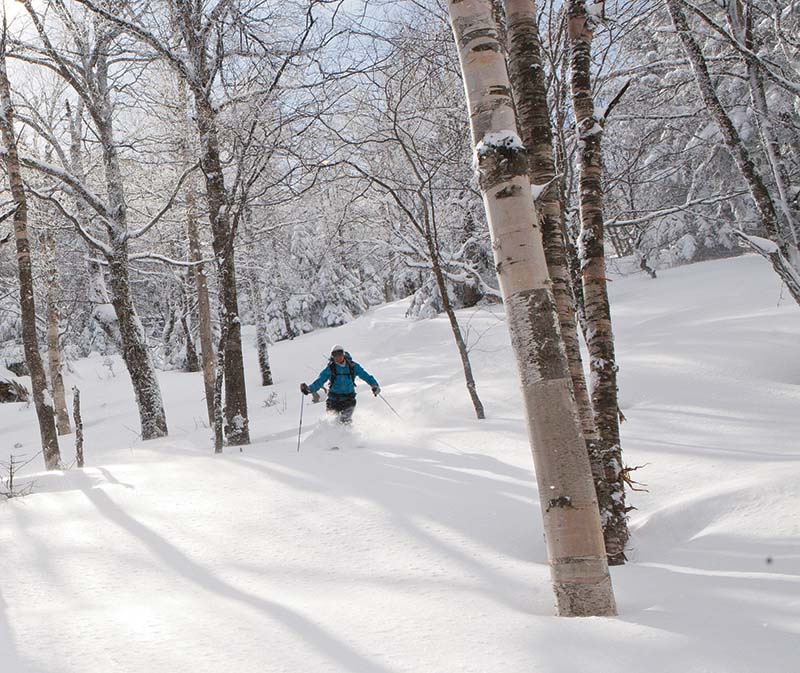 skier in snow