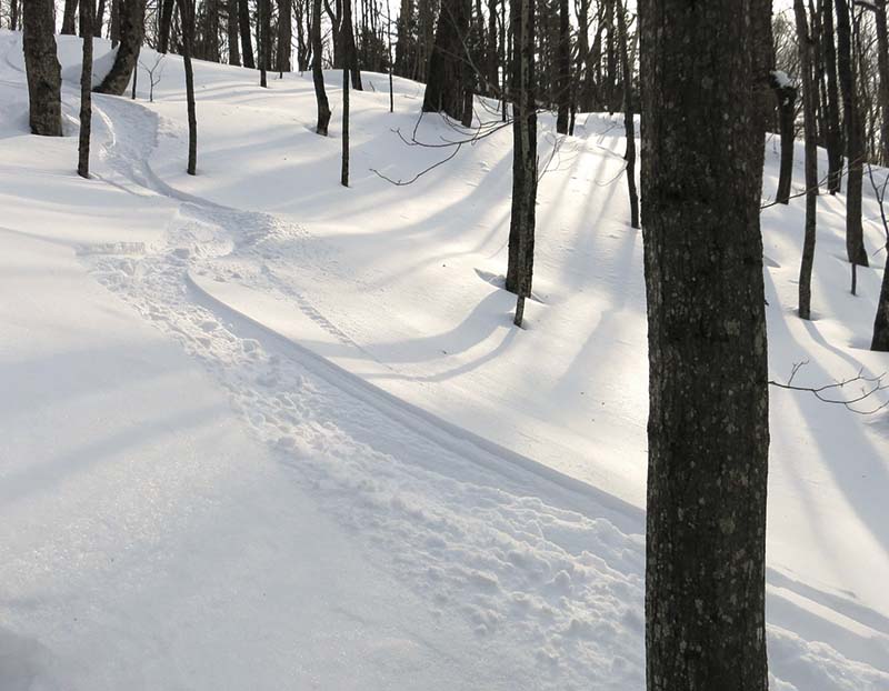 skier in snow