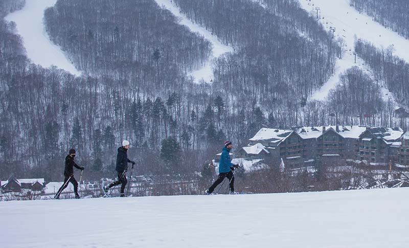 three people snowshoeing