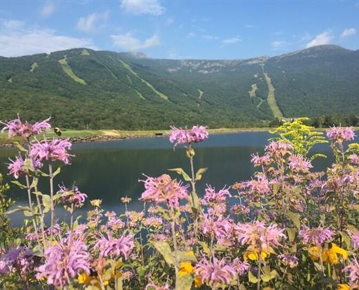 This Week At Spruce Peak