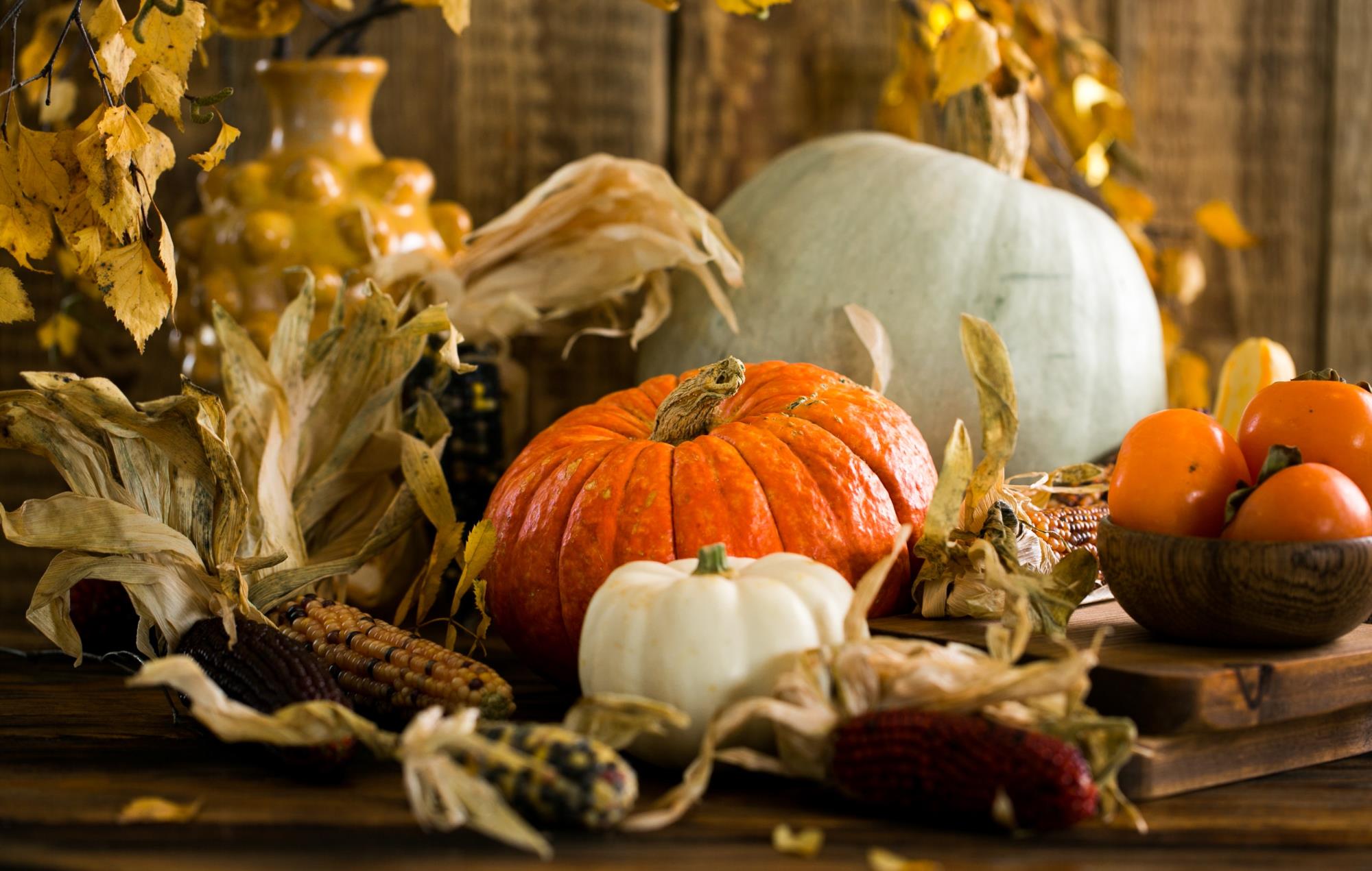 Thanksgiving Dinner