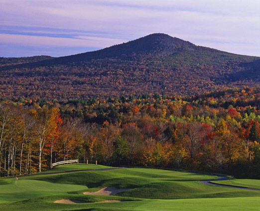 Spruce Peak Landscape