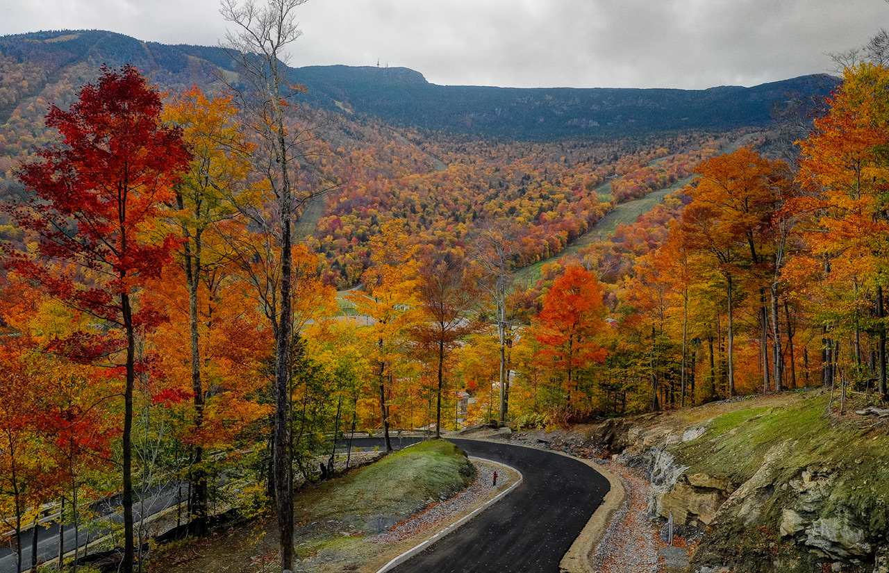 road with autumn trees