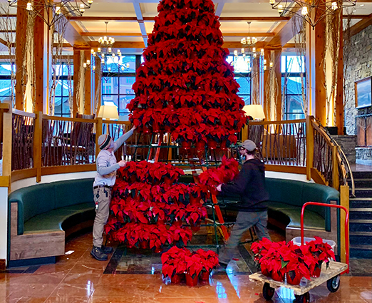 Poinsettia Tree Construction