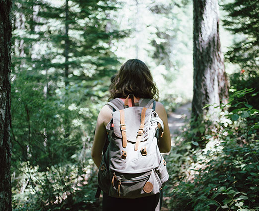 Spruce Peak Folk Festival Complimentary Hikes