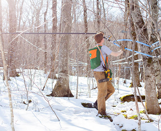 Runamok Maple Tapping