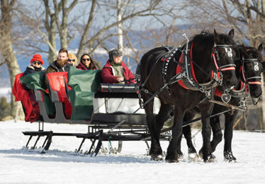 A carriage ride in the park