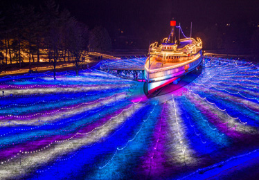 A carriage ride in the park