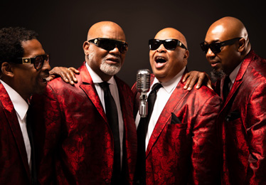 A carriage ride in the park