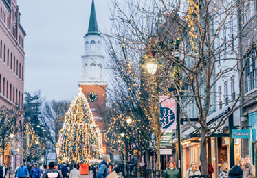 A carriage ride in the park