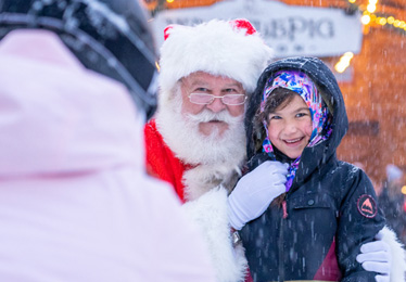 A carriage ride in the park