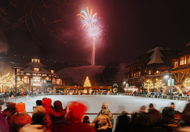 A carriage ride in the park