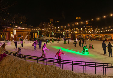 A carriage ride in the park