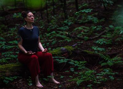 Forest Bathing