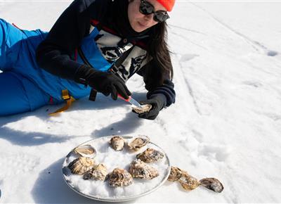Apres Ski with Island Creek Oysters - Pop-Up