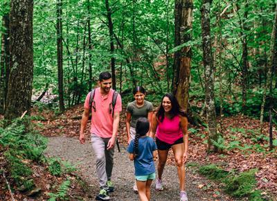 Sunday Spruce Loop Hike - 12:00pm