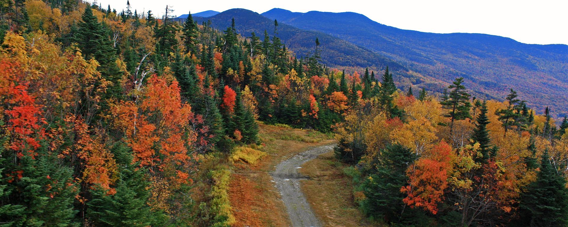 Historic Toll Road Vermont Summer Activities Spruce Peak in Stowe