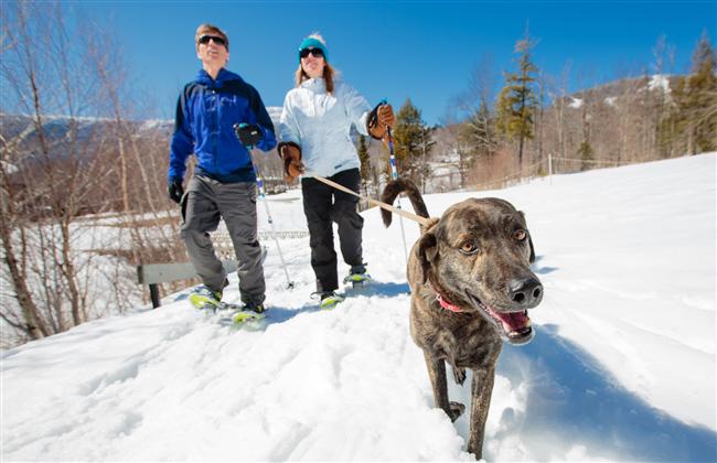 Celebrate New Traditions with a Spruce Peak Credit